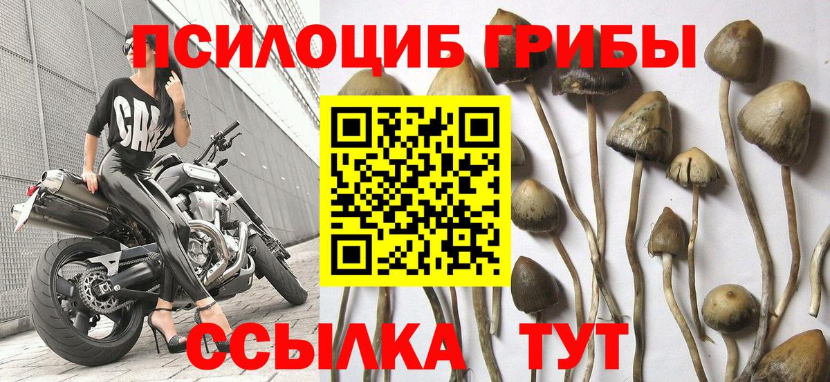 Меф   Вход с VPN  Бошки Шишки  Сухой Лог  ГАШИШ  Где купить  A PVP СК   Вейп ТГК 