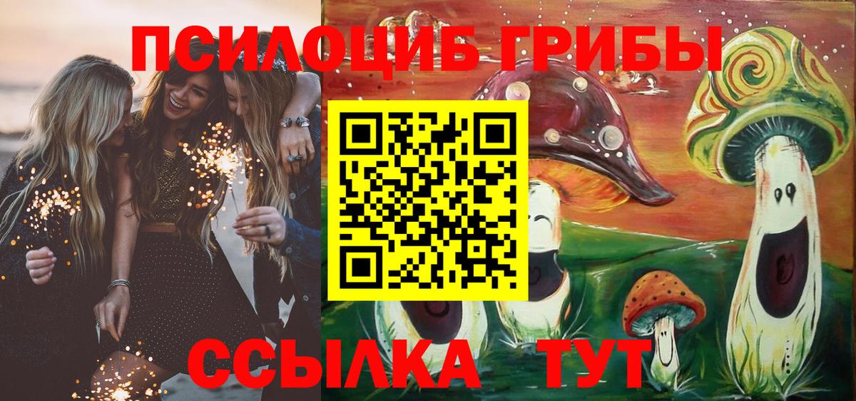 Псилоцибиновые грибы прущие грибы  где можно купить наркотик  Сухой Лог  Вход с VPN 
