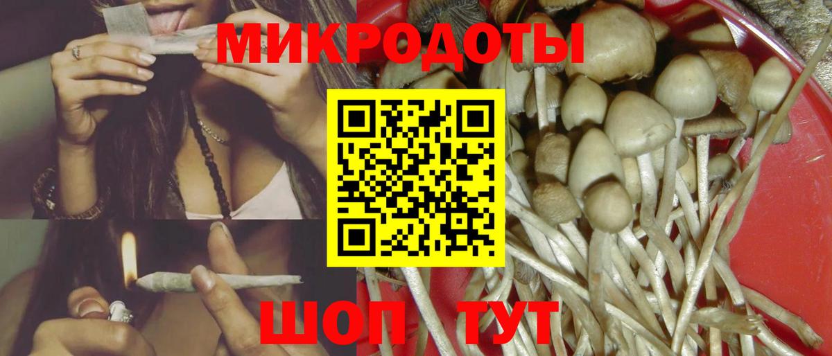 Псилоцибиновые грибы Psilocybe Сухой Лог